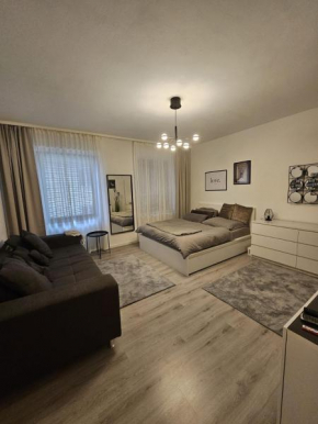 Moderne 2 Zimmer 70 qm Wohnung in Top Altstadtlage